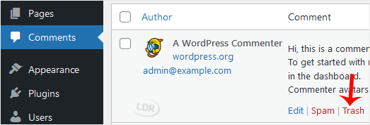 wp-ft-remove-comment.gif